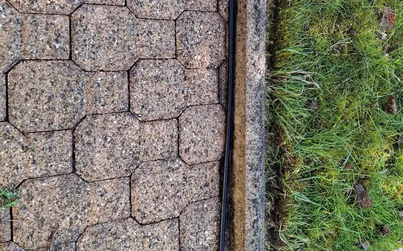 Pelouse dense et bordure nette le long d'une allée pavée, après remise en état