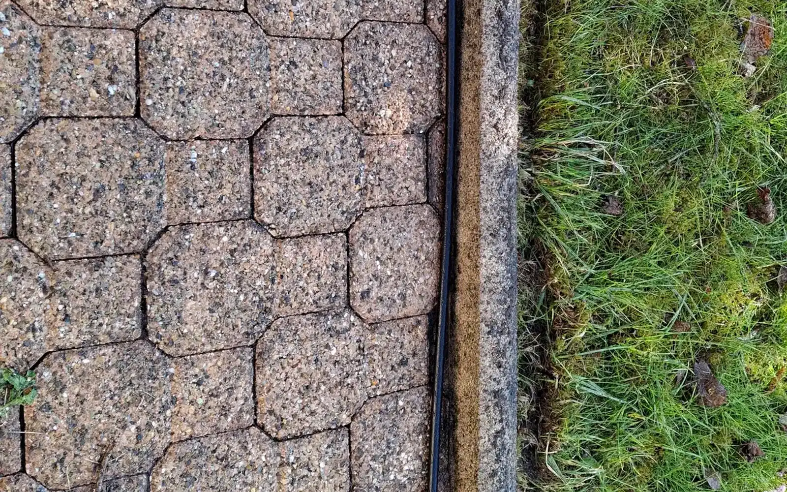 Pelouse dense et bordure nette le long d'une allée pavée, après remise en état