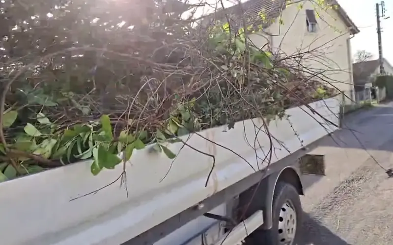 Chargement de branches dans un camion benne après une remise en état de terrain dans le Haut-Doubs