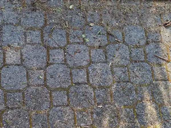 Allée en pavés envahie par la mousse avant le nettoyage haute pression
