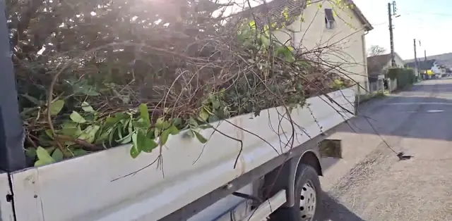 Chargement de branches dans un camion benne après un élagage dans le Haut-Doubs