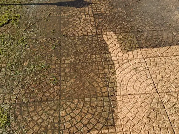 Terrasse en cours de démoussage : la moitié gauche est encore couverte de mousse, la moitié droite est nettoyée
